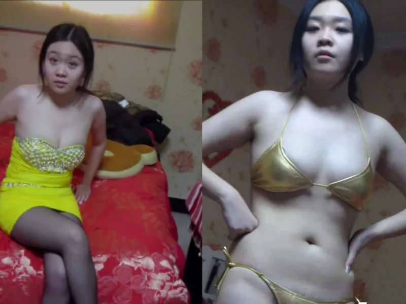 Phang gấu non tơ bướm hồng xinh đẹp